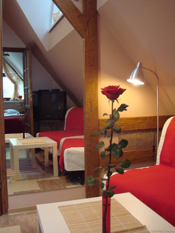 Apartamenty Centrum ザコパネ 部屋 写真