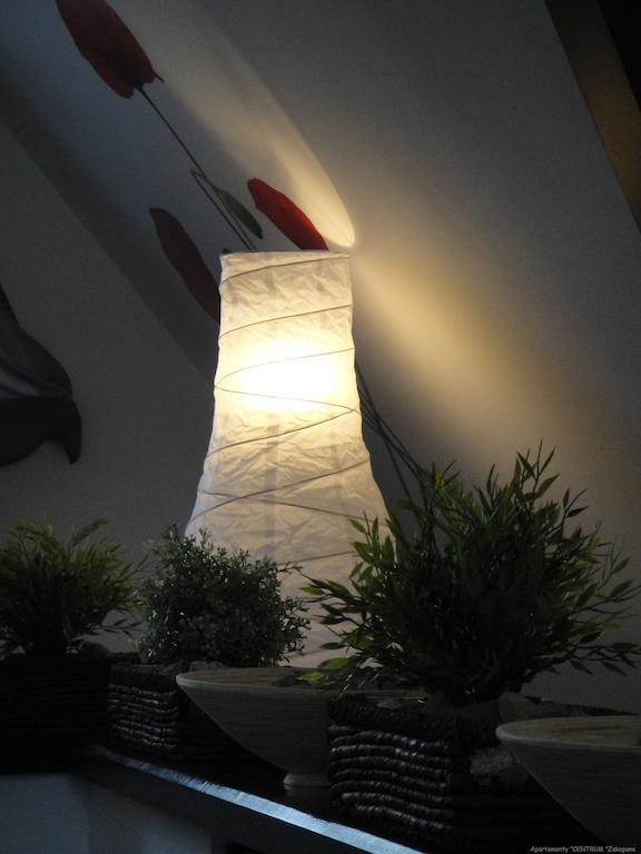 Apartamenty Centrum ザコパネ エクステリア 写真